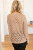 Eden Sheer Top in Mocha