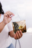 Stay Golden Sheet Mask