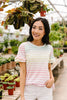 Pastel Palette Ruffle Sleeve Top