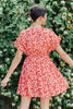 Poppy Days Dress