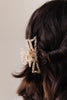 Speckled Hair Claw Set
